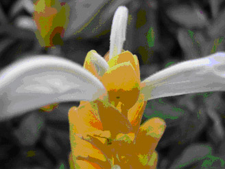 曝光补偿(+-EV)使用方法-李玉刚的博客