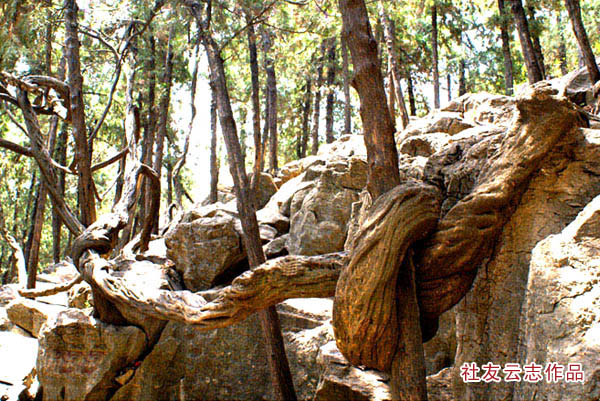 图片[12]-琅琊八景-李玉刚的博客